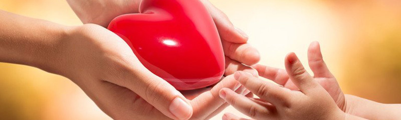 Ayesha Heart Care Center